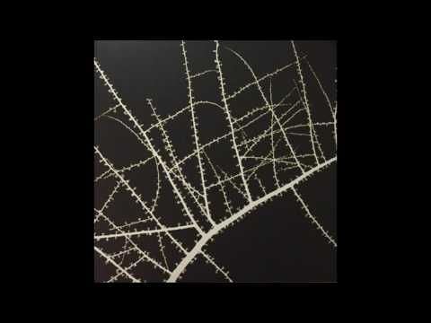 Terry Riley / Don Cherry ‎– Köln – February 23, 1975 [Full Album]
