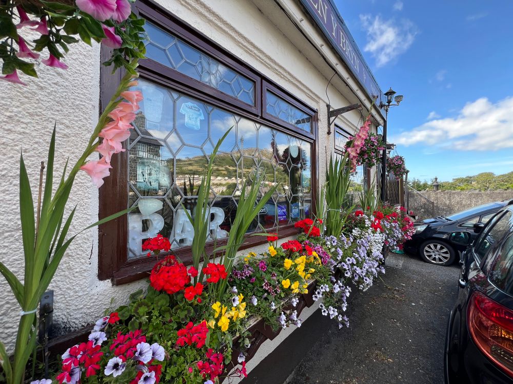 A sea of coloured flowers in a 30ft long window box. The gladioli tower over the flowers beneath.  