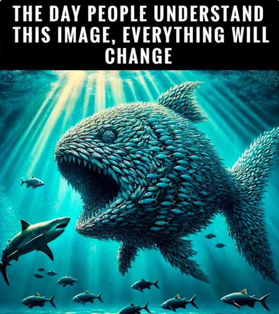 Many fish will eat the shark if we act as one