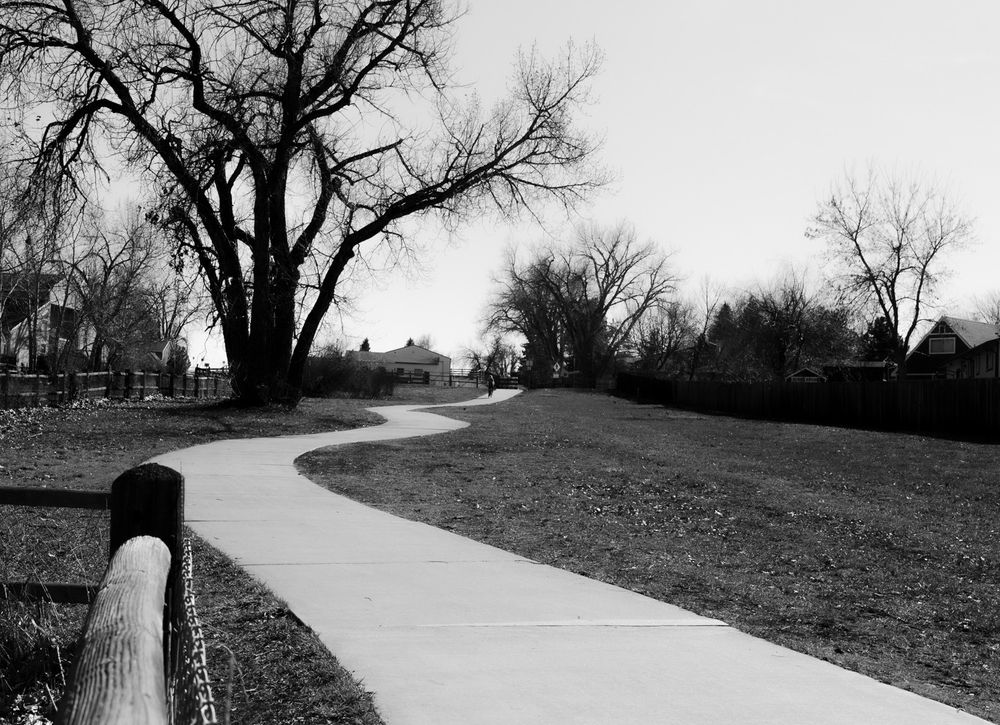 A black and white photograph of a winding concrete path. The path curves gently through an open grassy area with scattered trees having bare branches. A wooden fence lines the left side of the path, while houses are visible in the background. A person is seen in the distance walking along the path. The sky is clear, and the scene has a calm, quiet atmosphere.

