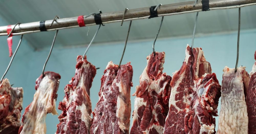Food is wrecking the planet. And Europe has lost its appetite for change.