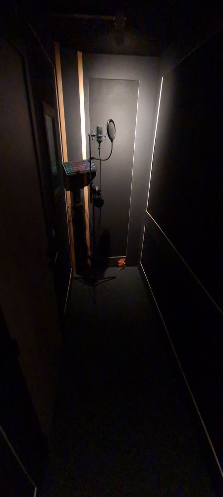 A small cupboard like room with carpet on the walls. There is a spot light about a microphone at one end. The rest of the room is dimly lit.