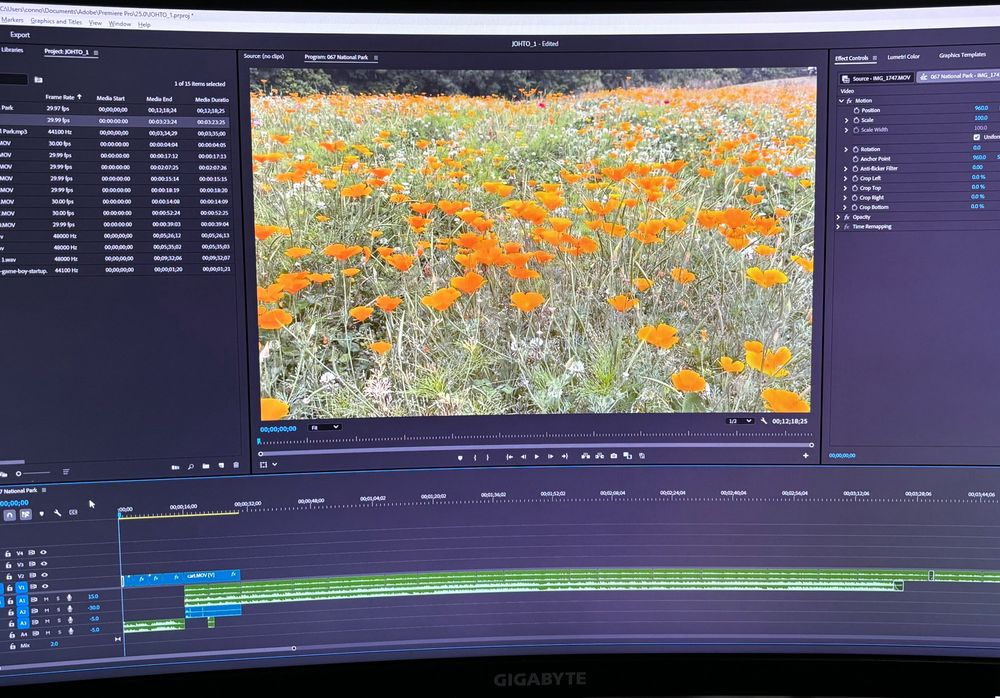 A photo of my desktop monitor, with video editing software showing a field of orange flowers.