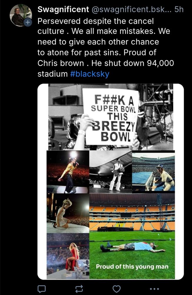 Account: @swagnificent.bsky post: Persevered despite the cancel culture . We all make mistakes. We need to give each other chance to atone for past sins. Proud of Chris brown. He shut down 94,000 stadium #blacksky