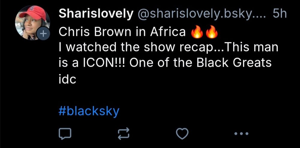 Account: @sharislovely.bsky.social post: "Chris Brown in Africa 🔥🔥 I watched the show recap...This man is a lCON!!! One of the Black Greats idc"