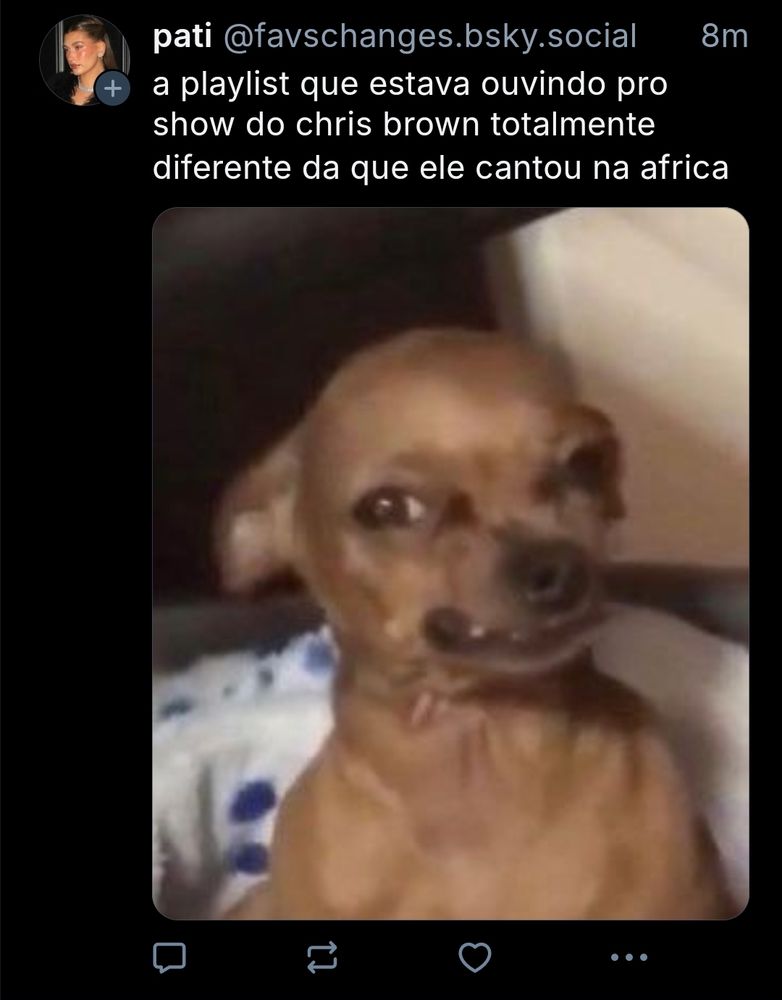 Account: @favschanges.bsky.social post with image of angry dog: "a playlist que estava ouvindo pro show do chris brown totalmente diferente da que ele cantou na africa" translated: "the playlist I was listening to for Chris Brown's show was completely different from the one he sang in Africa"