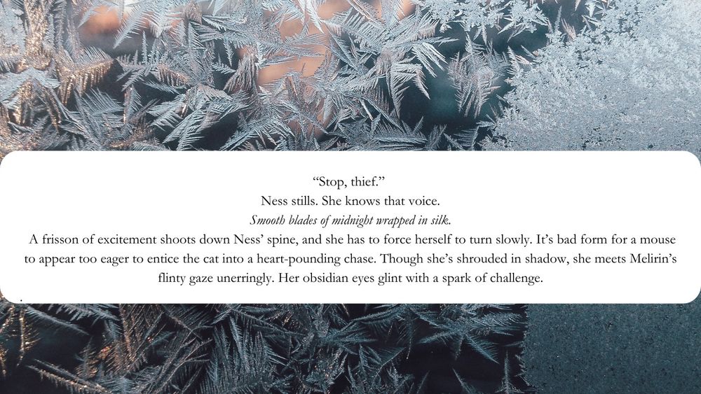 a background of frost and ice. An excerpt from Be Gay Do Crimes WIP: 
“Stop, thief.” 
Ness stills. She knows that voice. 
Smooth blades of midnight wrapped in silk. 
A frisson of excitement shoots down Ness’ spine, and she has to force herself to turn slowly. It’s bad form for a mouse to appear too eager to entice the cat into a heart-pounding chase. Though she’s shrouded in shadow, she meets Melirin’s flinty gaze unerringly. Her obsidian eyes glint with a spark of challenge.
