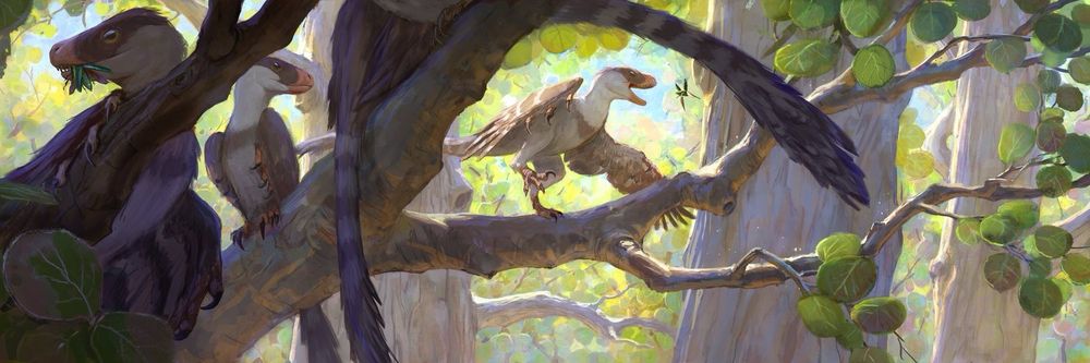 View of some young dromaeosaurs engaging in speculative arboreal behavior.