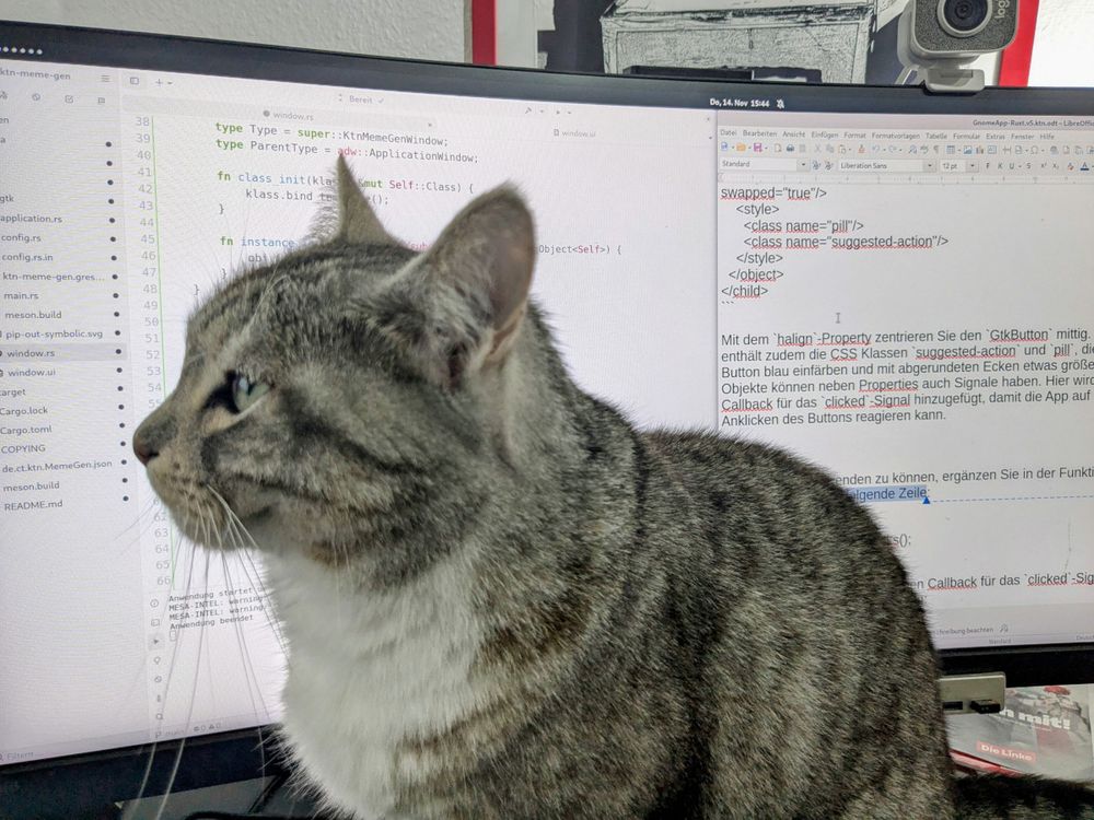 Eine Katze sitzt recht unbeeindruckt vor einem Ultrawide-Display, wo mehrere Fenster mit Rust-Code und dem Manuskript zu dem Artikel geöffnet sind. 