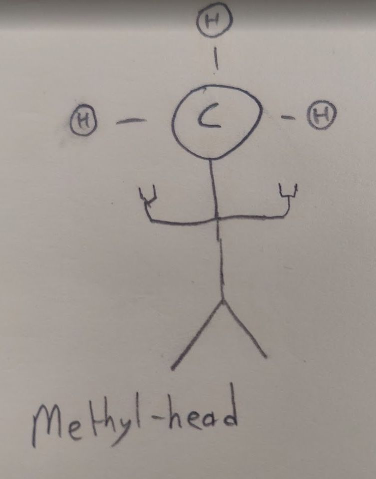 A stick figure whose head has the letter C on it and is linked to 3 circles with the letter H (a "methyl group" in chemistry). Both of the figure's hands are throwing the horns.