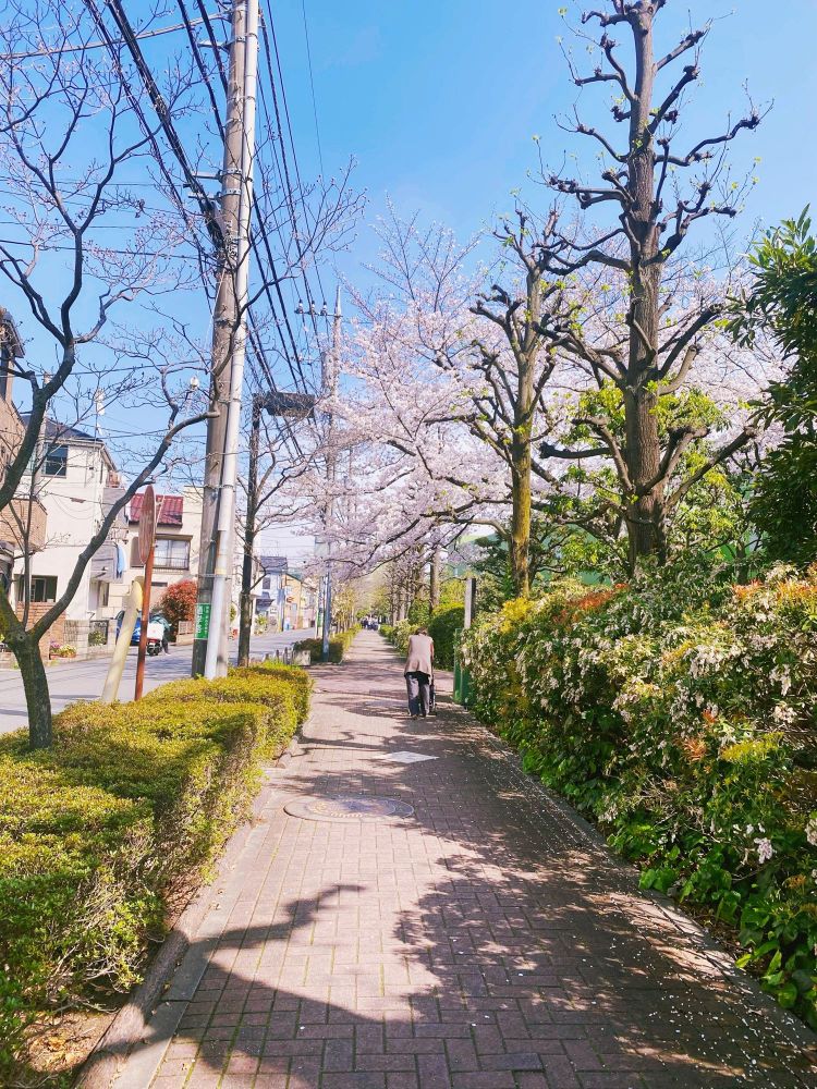 おばあちゃんの後ろ姿が可愛かった