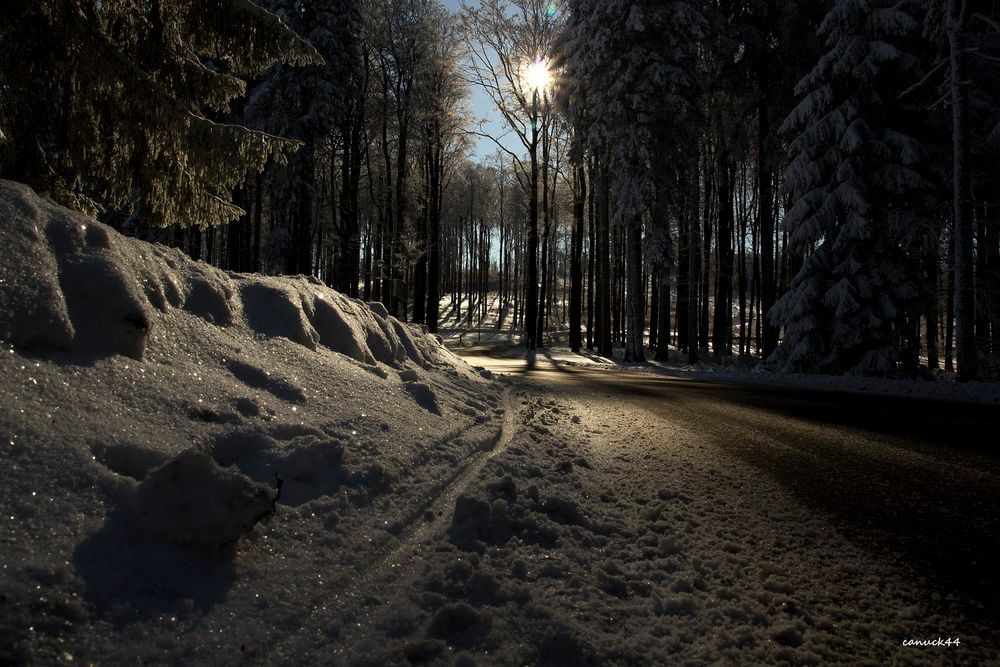 Sonne strahlt durch die Bäume im winterlichen Wald 