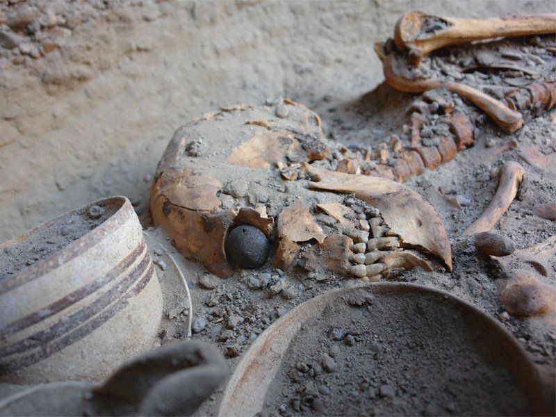 A skull and neck partially embedded in the ground. Where the eye socket is, there is a large, black ball. 