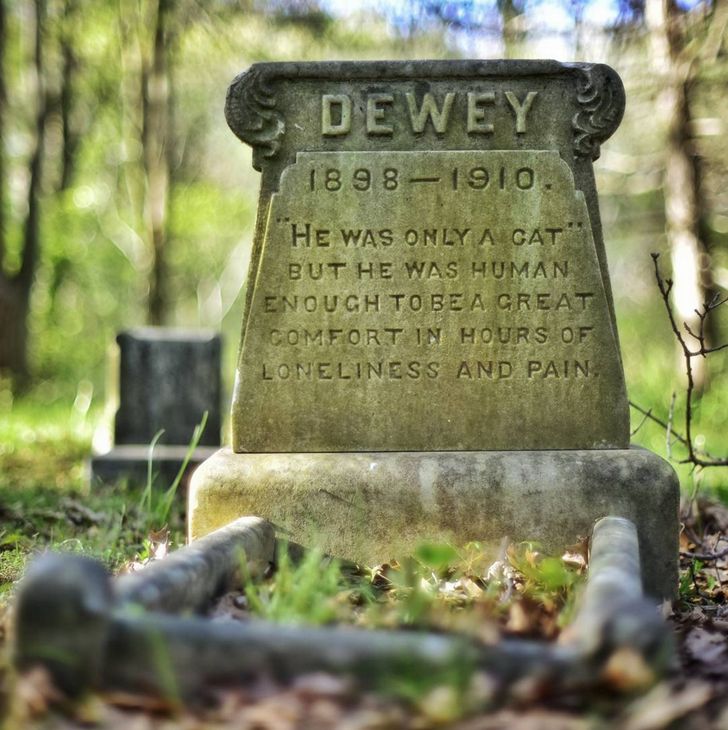 An old tombstone that reads: DEWEY 1898 - 1910. "He was only a cat" but he was human enough to be a great comfort in hours of loneliness and pain.