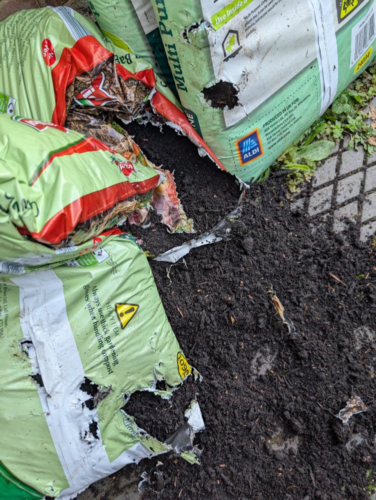 Compost bags torn open by foxes.
