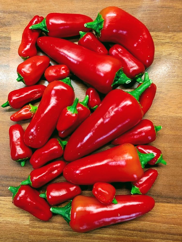 Bright red chillies on a kitchen worktop.