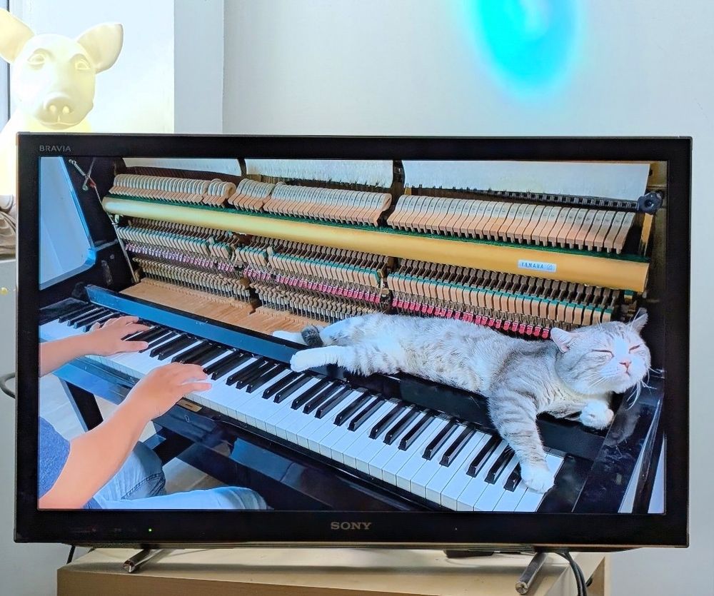 A tv showing a youtube vid of Haburu cat relaxing in a piano.