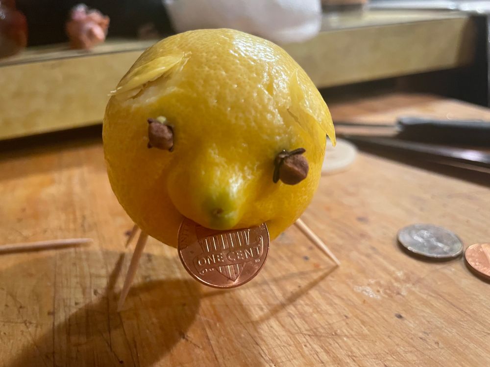 I made a lemon pig for the new year, tiny new friend 