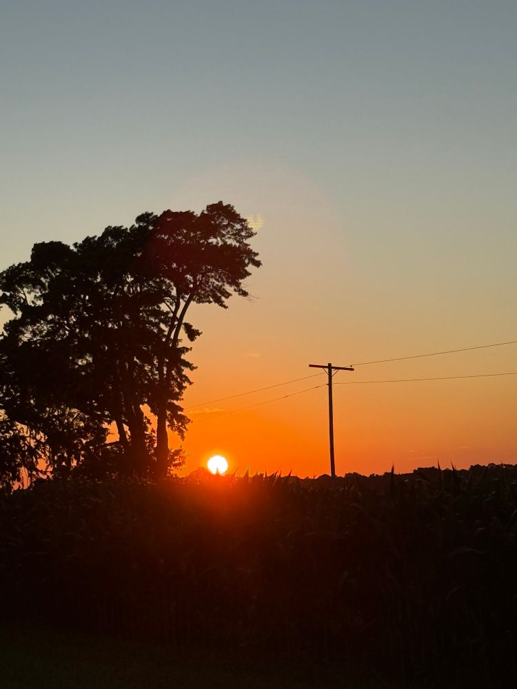 Sunset was the colours of light greyish blue to peachy red orange with black silhouette of a field of corn, telephone pole with wires and trees with leaves