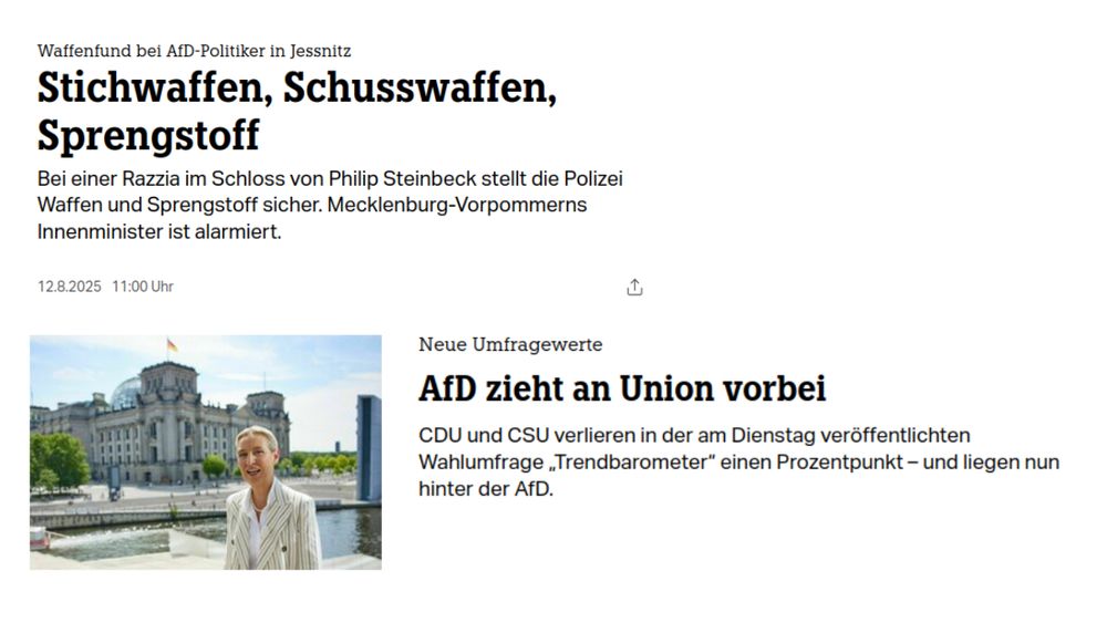 Headline: "Weapons found at AfD-Politiker in Jessnitz: Stichwaffen, Schusswaffen, Sprengstoff." Image shows the Reichstag building in Berlin with a banner reading “AfD zieht an Union vorbei.”