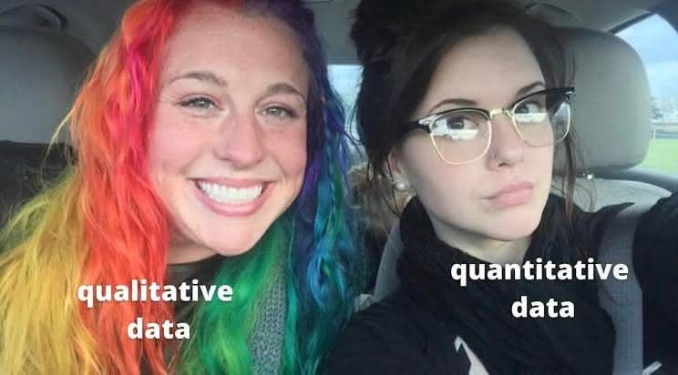 Two young women are seated in a car. 


The woman on the left has vibrant rainbow-colored hair, with sections of orange, pink, red, yellow, green, and blue.  Text overlayed on the image reads "qualitative data" under her face.  She is smiling and looking directly at the camera.


The woman on the right has dark brown hair pulled back into a bun.  She wears glasses with a metal or gold-tone frame.  Text overlayed on her image reads "quantitative data" under her face.  She has a neutral expression and is looking slightly off to the side of the camera.


The background is a blurred car interior.  The car's seat material and part of the outside of the car are visible.