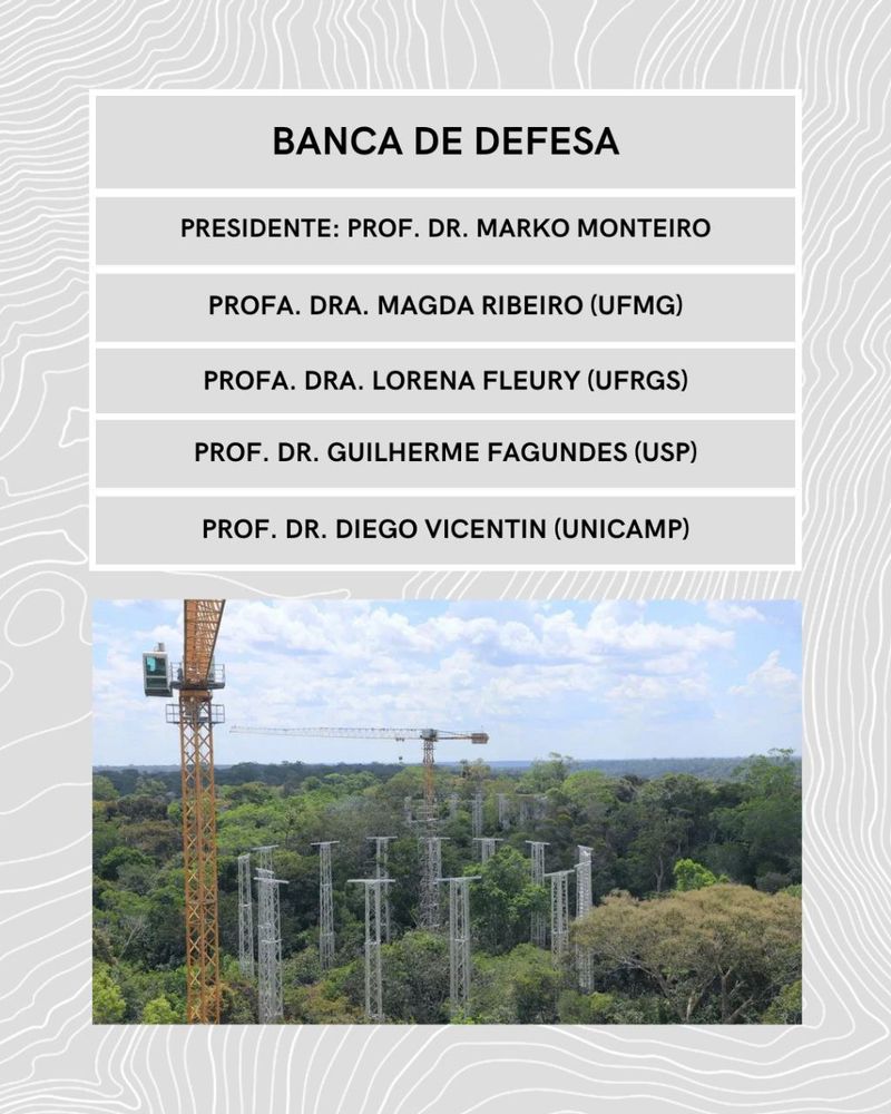 Imagem majoritariamente cinza com as seguintes informações: banca de defesa: presidente: Prof. Dr. Marko Monteiro. Profa. Dra. Magda Ribeiro (UFMG). Profa. Dra. Lorena Fleury (UFRGS). Prof. Dr. Guilherme Fagundes. Prof. Dr. Diego Vicentin (Unicamp).
