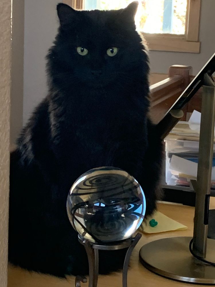 Large black floofy black cat (Ink) sitting in front of a glass sphere with black swirls in it. RIP buddy