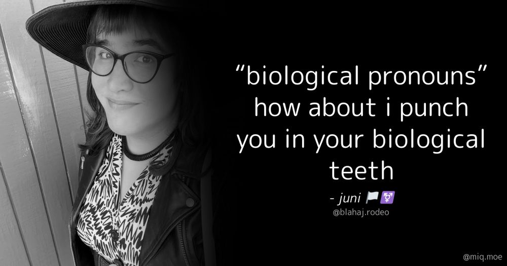 Generated by Make it a Quote
User: blahaj.rodeo
Content: “biological pronouns” how about i punch you in your biological teeth