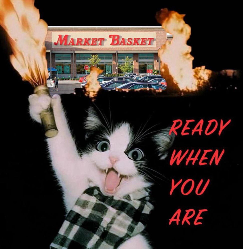 A cat torching a market basket with the text “ready when you are”