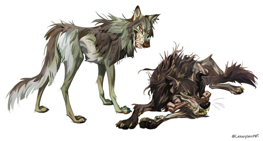 2 colored wolves 