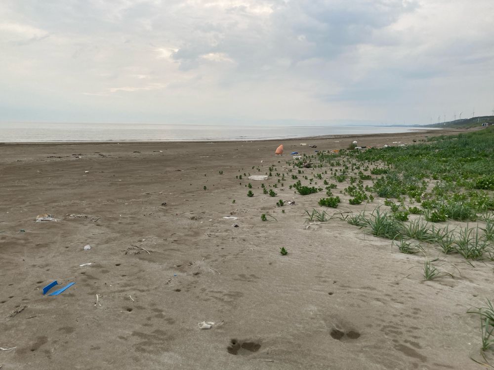 日本海とゴミや雑草だらけの砂浜