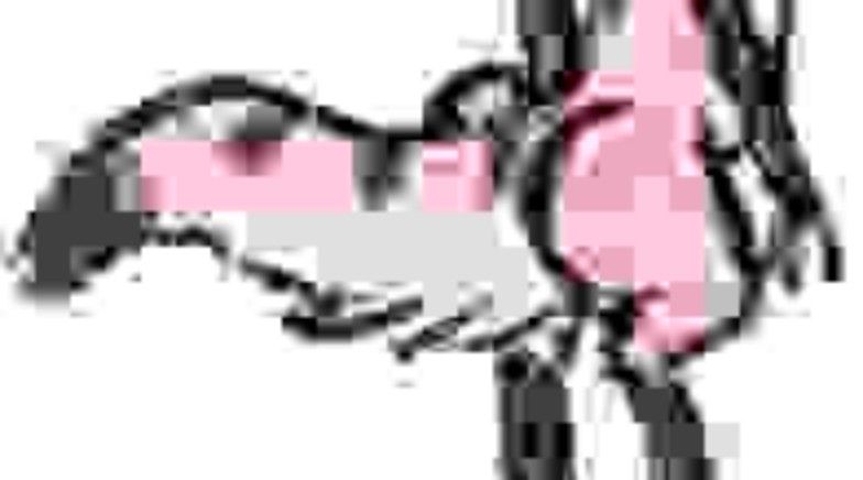 Horrendously artifacted yinglet ass.