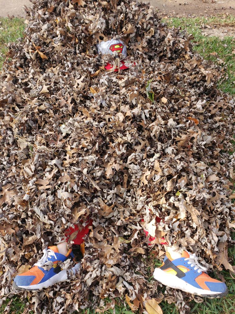 A big pile of leaves with a human in it. 