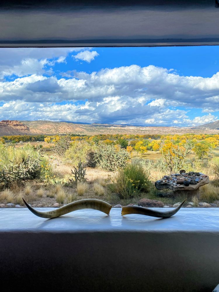 the view from GO’s bedroom window