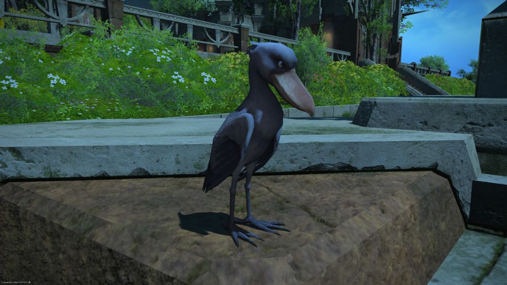 アナグノリシス天測園の片隅にいるハシビロコウ
微動だにしない
何を考えているのかもわからない……