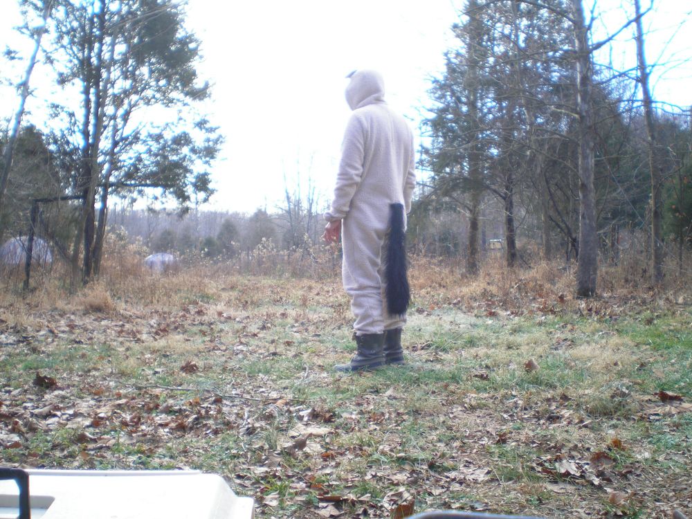 Wearing wolf pajamas while camping in the winter. 