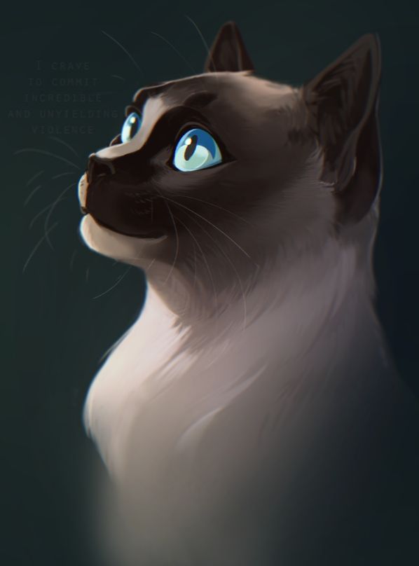 A cat named Cicada for OhBandera!