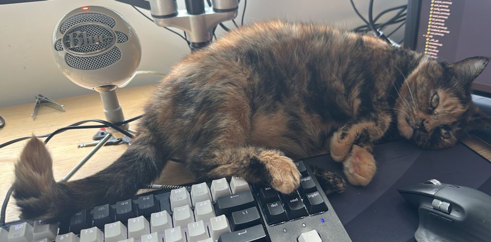 A tortie cat lying just above a black and white mechanical keyboard, her paws very clearly pressing a bunch of keys as she look into the space behind the camera with disdain