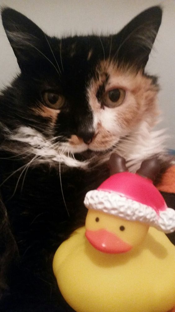 Christine (RIP) poses with a friend. There’s no way she would wear a hat!!