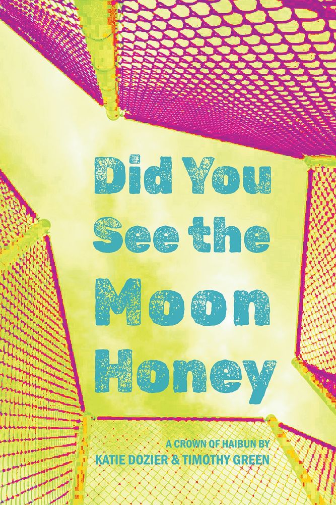 Cover of Did You See the Moon Honey by Katie and Tim. A view of a fence looking up at the sky in neon colors. 
