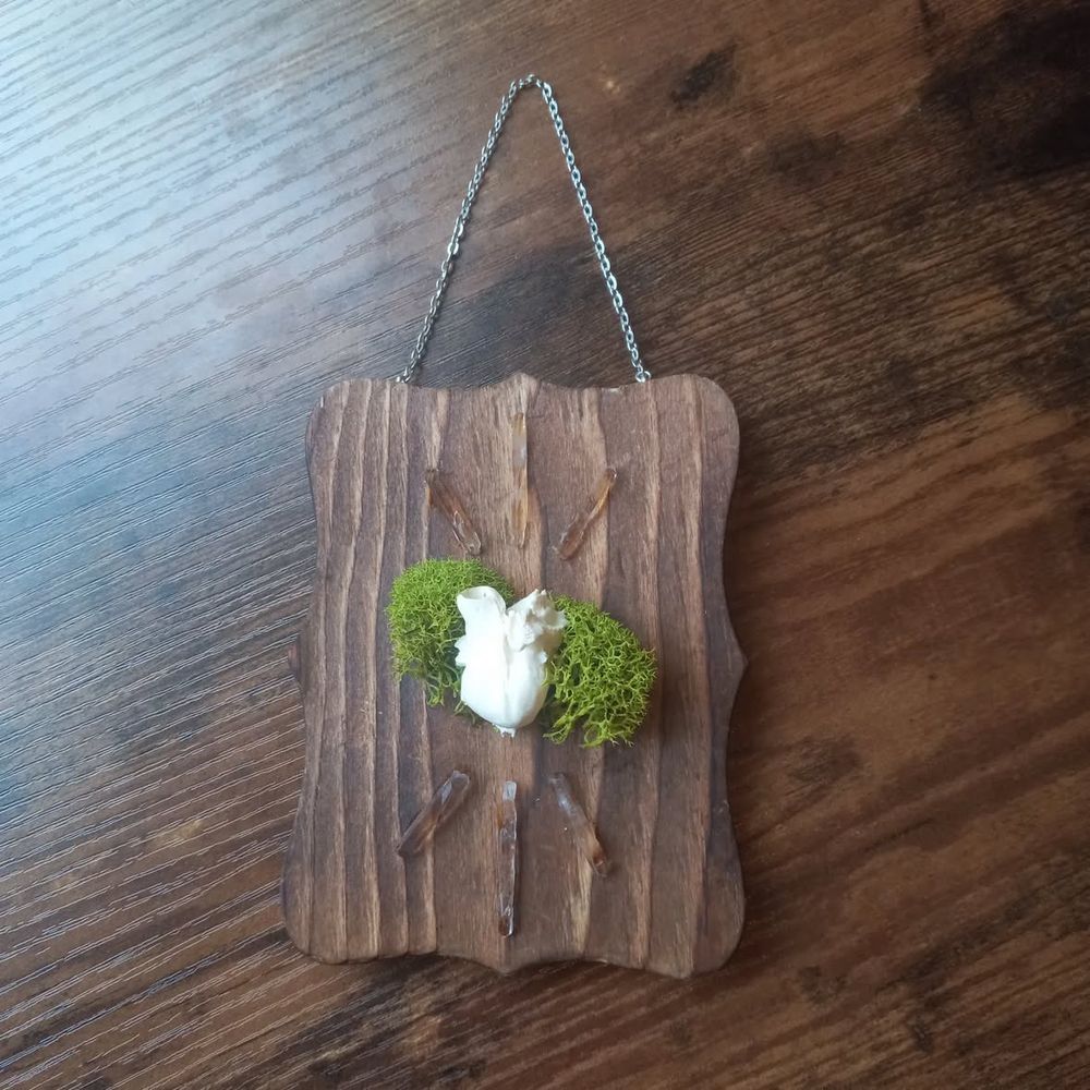 This tiny wooden plaque measures 4x3” and features six clear quartz points, reindeer moss and the inner ear bone of a muskrat.