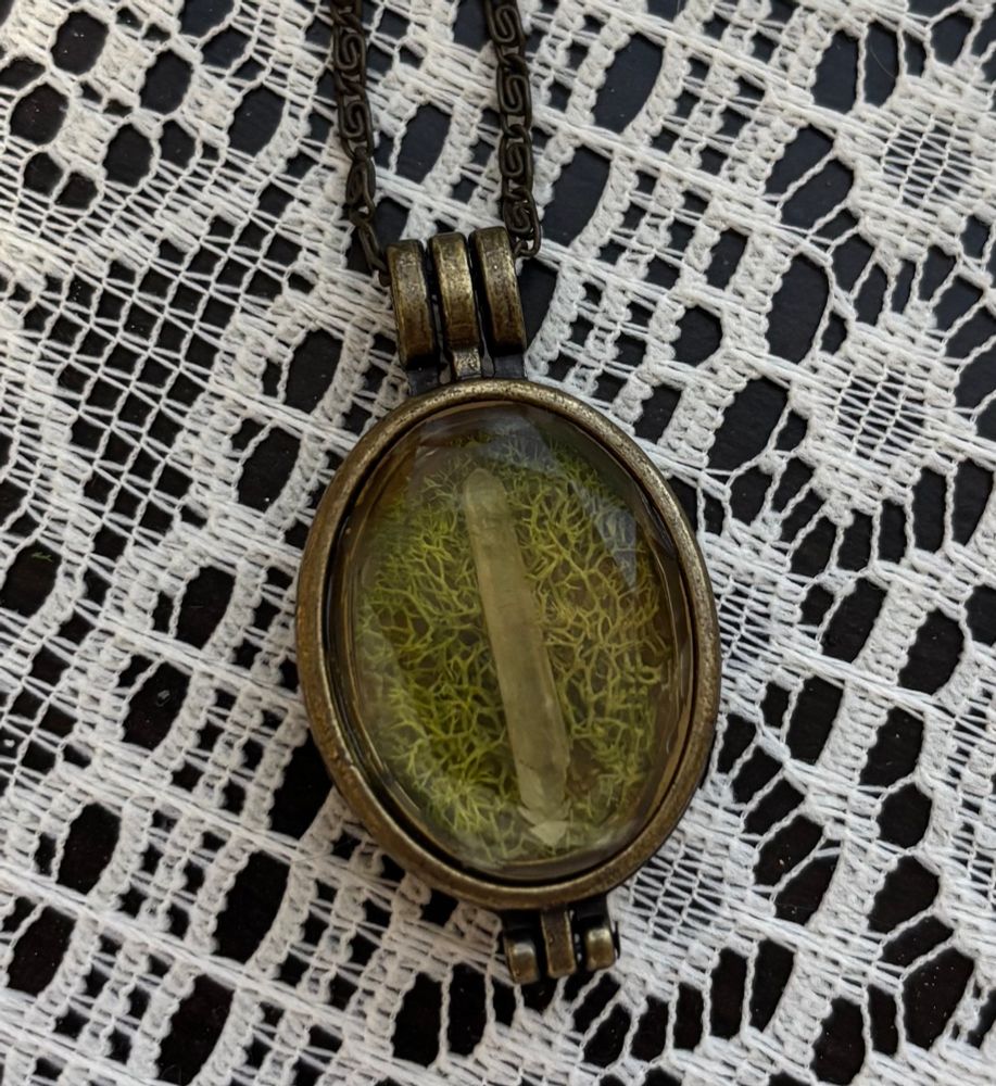 A brass and glass locket with a quartz crystals, moss and a real butterfly wing. 