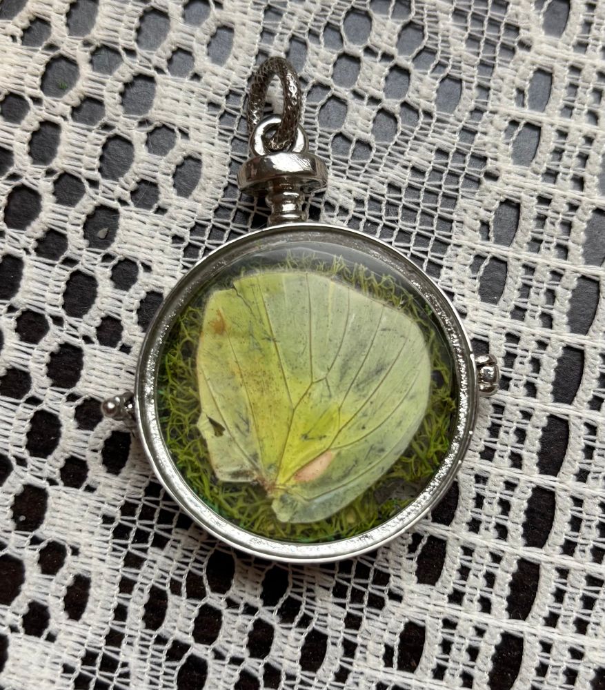 A double sided glass locket that contains reindeer moss, coyote bones, amethyst, clear quartz and a real butterfly wing. 