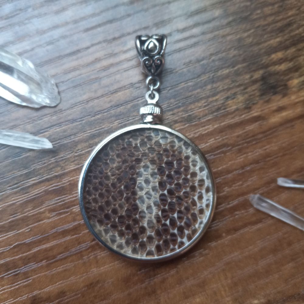 Naturally shed snake skin in a glass locket pendant.