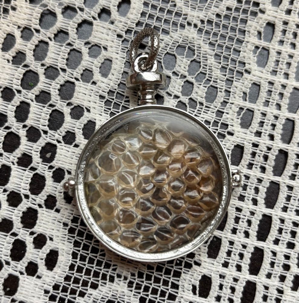 This one features moss, hydrangea, lichen, clear quartz points and snake skin shed. 