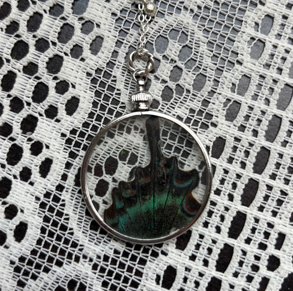 A real butterfly wing in a glass locket. 