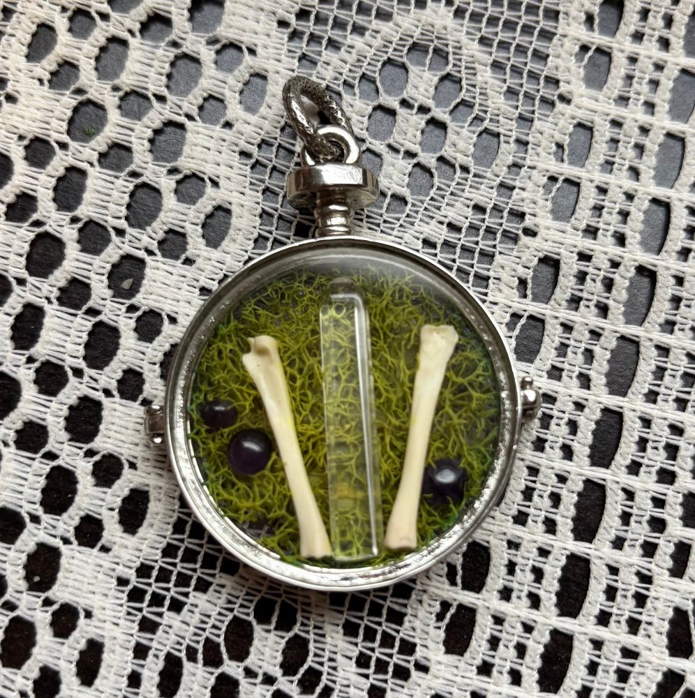 A glass locket with moss, quartz crystals, coyote toe bones, amethyst and a butterfly wing. 