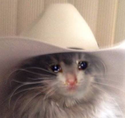 cowboy cat about to cry 