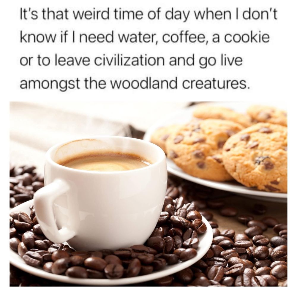A meme with text reading, “It’s that weird time of day when I don’t know if I need water, coffee, a cookie, or to leave civilization and live with woodland creatures,” above an image of a coffee cup surrounded by beans and a plate of cookies in the background.