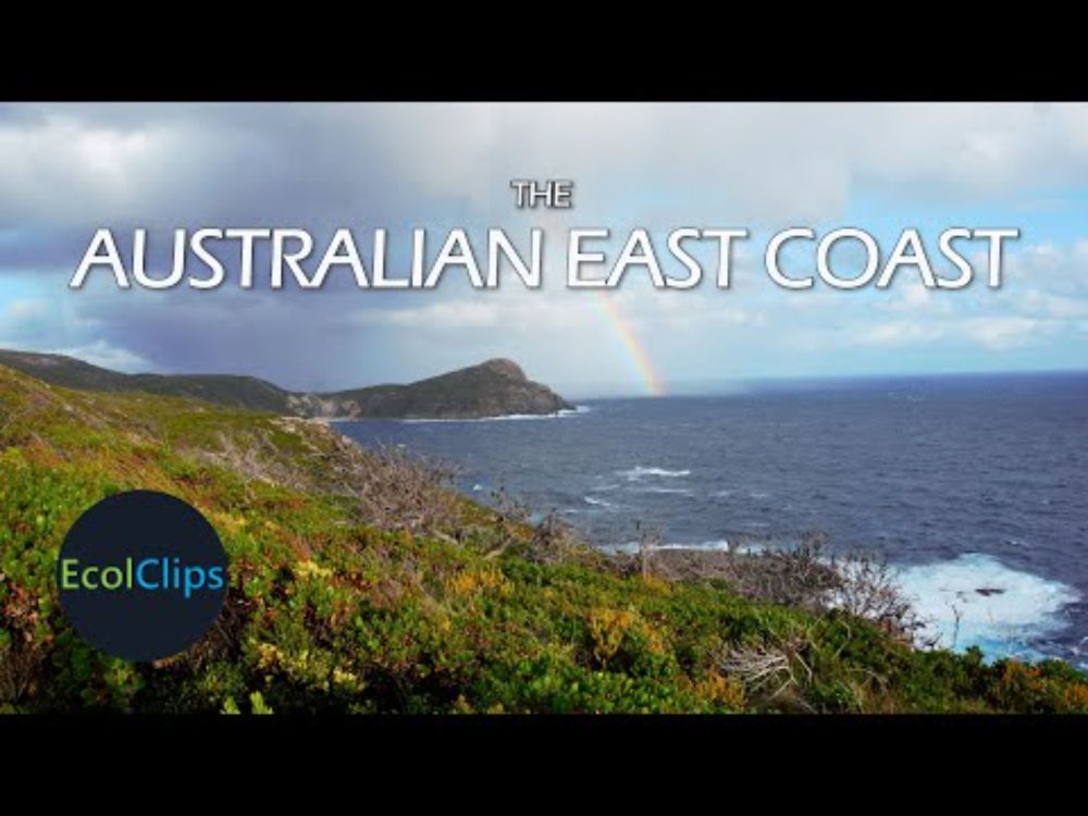 The Australian East Coast | EcolClips